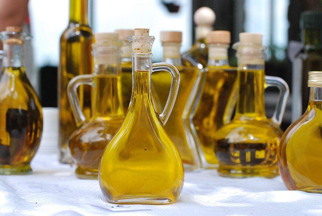 Pridelava oljčnega olja predstavlja pomembno kmetijsko in gospodarsko panogo v slovenski Istri. Foto: MMC RTV SLO/Kaja Sajovic