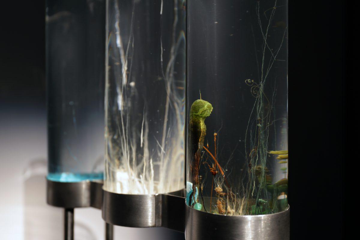 Instalacijo, ki bo osnova za kemično-akustične eksperimente v živo, bo sestavljalo več manjših formacij kemičnih vrtov v raztopini vodnega stekla (natrijev metasilikat). Foto: Simulaker / Katra Petřiček