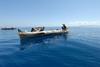 Starec in morje: ribiču v čoln skočil beli morski pes
