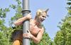 Foto in video: Akrobati iz gozda Varekai popestrili ljubljanske ulice