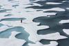 Globalne temperature v vzponu, Arktika kmalu brez ledu