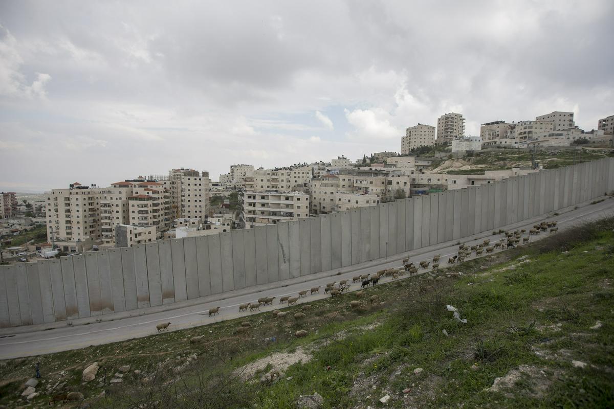 Izraelski zid na Zahodnem bregu