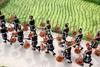 Kitajska dala zeleno luč za prvi uvoz ameriškega riža