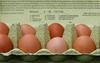 Odpoklic zdravju nevarnih nizozemskih jajc se širi