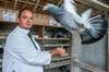 Foto: Največji golobnjak na svetu nudi dom 12.000 golobom