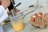 Tudi v Avstriji našli škodljivi fipronil v jajčnih izdelkih