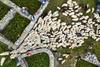 Pogled iz zraka: nevarno romanje ovac v dolino (foto)