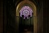 Razstava z virtualno resničnostjo vabi v katedralo Notre Dame pred požarom 