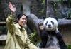 Foto: Slovo Basi, najstarejše velike pande, ki je živela v ujetništvu