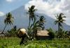 Na Baliju 135.000 ljudi zapustilo domove zaradi opozoril o izbruhu ognjenika