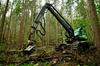 Mehanski dinozaver pomaga slovenskim gozdarjem