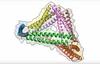 Preboj v razvoju proteinskih kletk