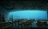 Video: Prva podvodna restavracija v Evropi bo na Norveškem