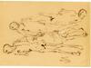Našli 23 Mušičevih dachauskih risb