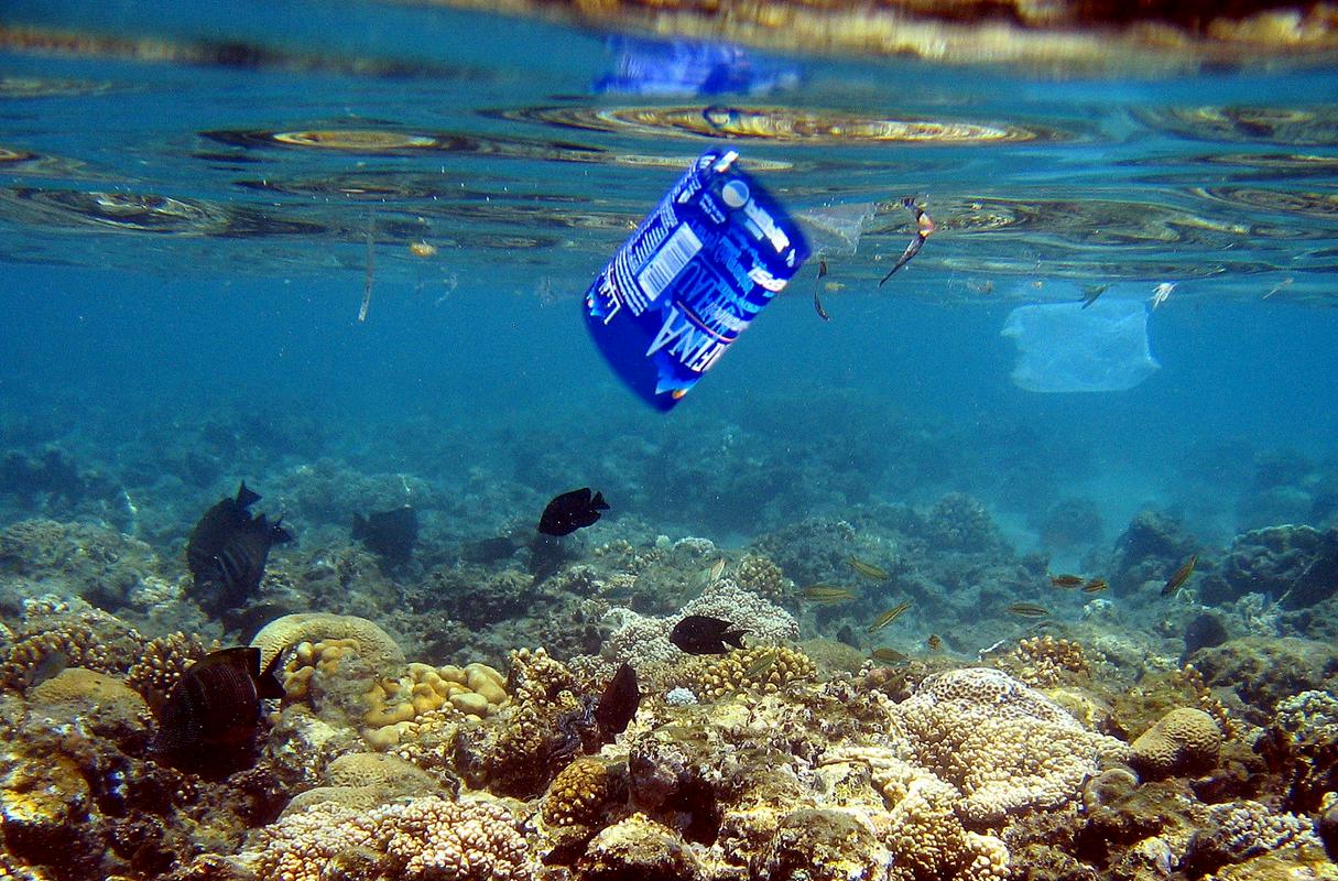 Če ribe, želve, morski sesalci ali ptiči zaužijejo košček plastike, se jim zatakne v prebavni cevi, kar je zanje lahko usodno. Foto: Reuters