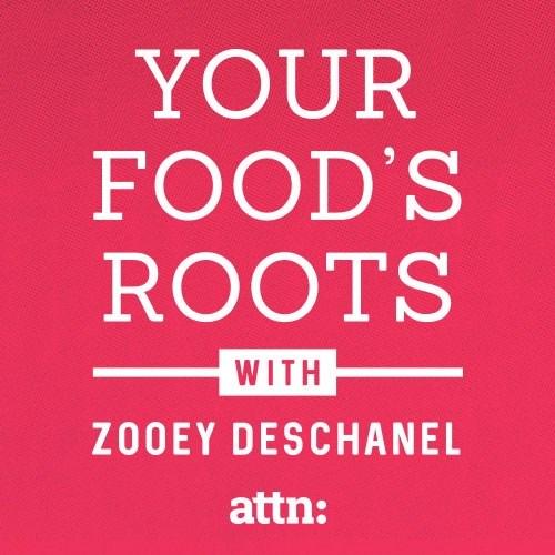 You food's roots