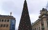 Beograjčane jezi pregrešno draga božična jelka za 83.000 evrov