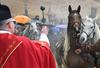 Foto in video: Na god sv. Štefana po Sloveniji blagoslovili konje