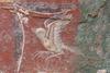 Celjski muzej: O razpadu Avstro-Ogrske in novo odkriti antični freski