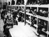 Izluščeno: Mednarodni dan spomina na žrtve holokavsta