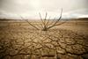 Južna Afrika zaradi suše razglasila nacionalno katastrofo