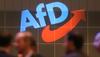 Nemčija: Skrajno desni AfD v anketah prvič prehitel socialdemokrate