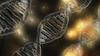 Odkrili povezavo med očetovimi geni in rakom jajčnikov