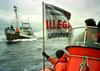 Norveška kljub ostrim kritikam povečuje kvoto za kitolov