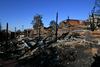 Avstralija: Gozdni požari uničili več kot 70 hiš
