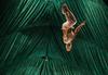 Predstava Cirque du Soleil usodna za artista Yanna Arnauda