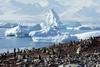 Rekordne temperature na Antarktiki, marca izmerili 4,9 stopinje Celzija