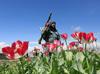 Afganistan stopnjuje napade na laboratorije za pridobivanje heroina