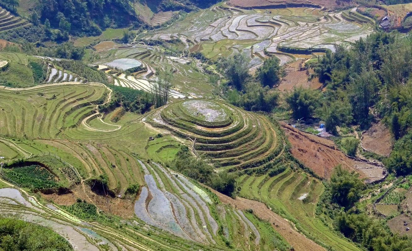 Riževa polja v Vietnamu. Foto: Jan Konečnik