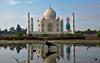 Beli marmor Tadž Mahala zaradi mrčesa postaja zelen