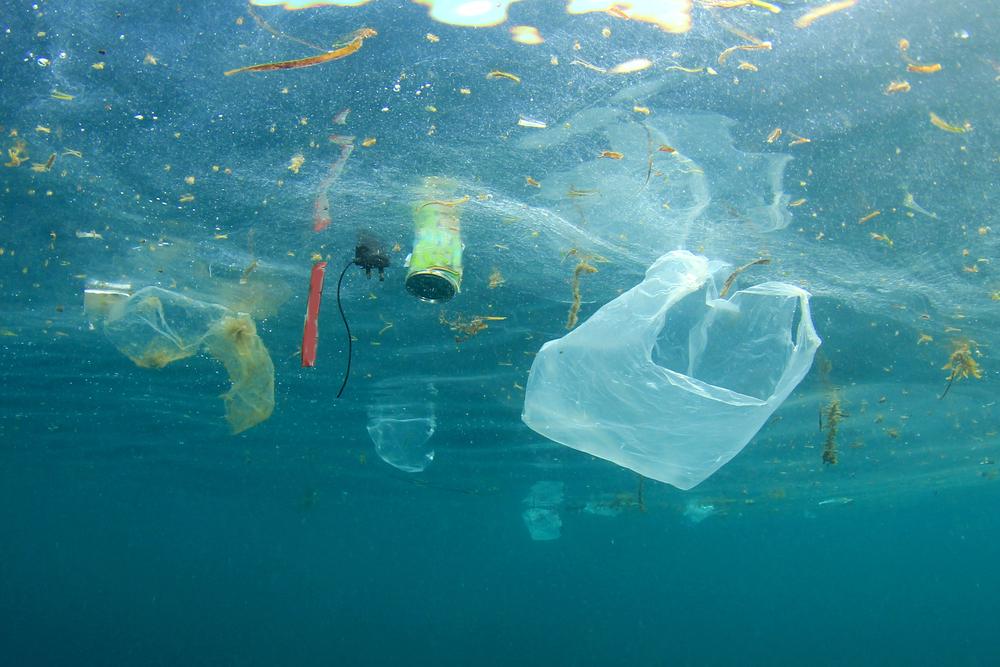 V slovenskem morju zastaja precej plastike in mikroplastike. Foto: Radio Koper