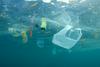 Slovensko morje onesnažuje plastika, ne pa kemikalije