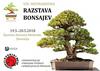 Mednarodna razstava bonsajev v Medvodah