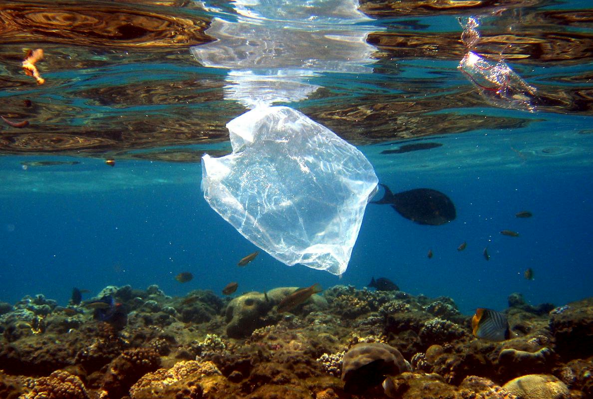 Plastične vrečke so smrtonosne za številne morske živali. Kar v od 50 do 80 odstotkih poginulih morskih želv so našli plastične vrečke. Spominjajo na meduze in želve jih pojedo. Foto: EPA