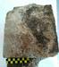 Našli glineno ploščo z nemara najstarejšim znanim zapisom homerskega epa