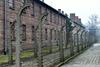 V Auschwitzu turista kradla opeke nekdanjega krematorija