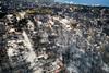 Grški minister: Smrtonosni požar najverjetneje podtaknjen
