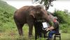 Pianist s klasično glasbo pomirja slepe slone