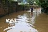 Foto: Zaradi poplav v Indiji 73 mrtvih in 85.000 razseljenih