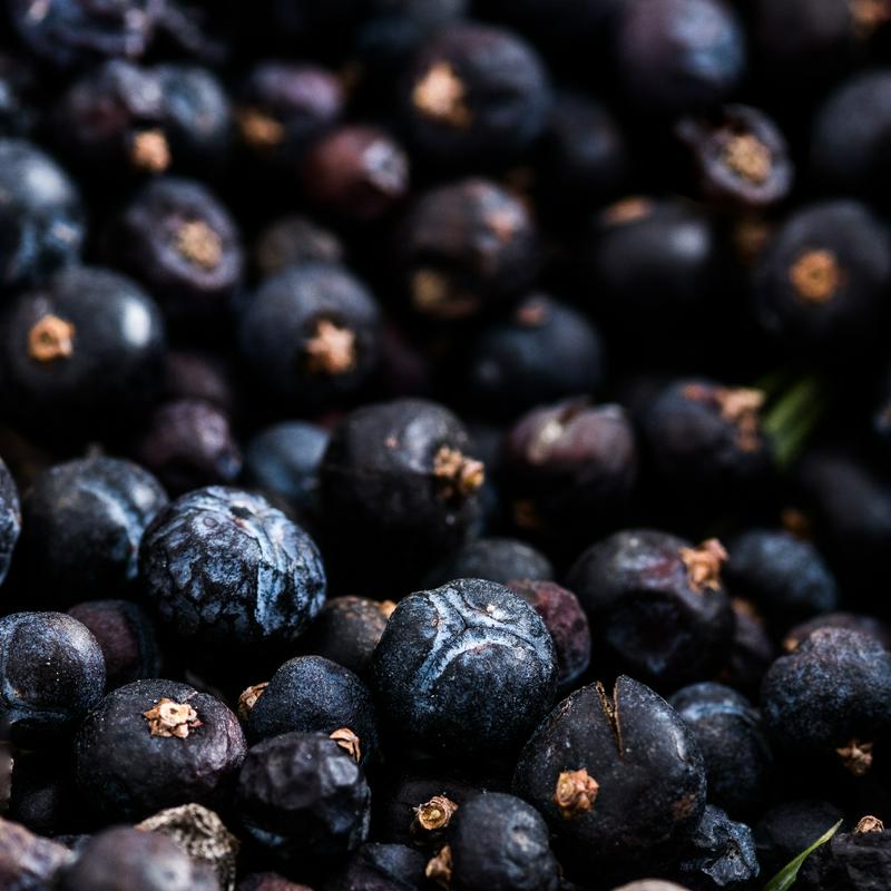Juniper berries are used for various drinks around the world, but Karst juniper brandy – known in Slovenian as kraški brinjevec – is one-of-a-kind. Unlike similar drinks around the world, which are only flavored using juniper berries, brinjevec is made solely from the aromatic berries. Foto: Miha Bratina Juniper berries are used for various drinks around the world, but Karst juniper brandy – known in Slovenian as kraški brinjevec – is one-of-a-kind. Unlike similar drinks around the world, which are only flavored using juniper berries, brinjevec is made solely from the aromatic berries. Foto: Miha Bratina