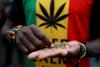 V Južni Afriki legalizirali uporabo marihuane v zasebnih prostorih