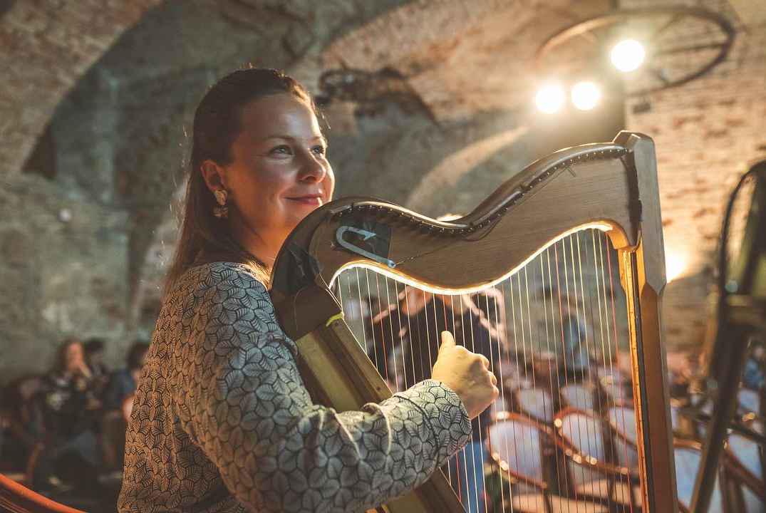 Glasbenica Zvezdana Novaković je sama izdelala kar dve harfi. Foto: Osebni arhiv
