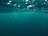 Oceani izgubljajo kisik, znanstveniki svarijo pred posledicami za milijone ljudi