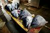 Japonci žalujejo za svojo slovito ribjo tržnico