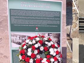  Foto: Radio Maribor/Lidija Cokan