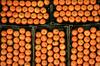 Južna Koreja severnim sosedom za darilo poslala 200 ton mandarin